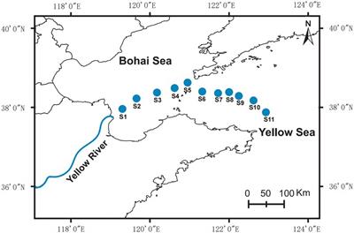 Bacterial taxonomic and functional profiles from Bohai Sea to northern Yellow Sea